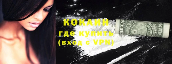 индика Балахна